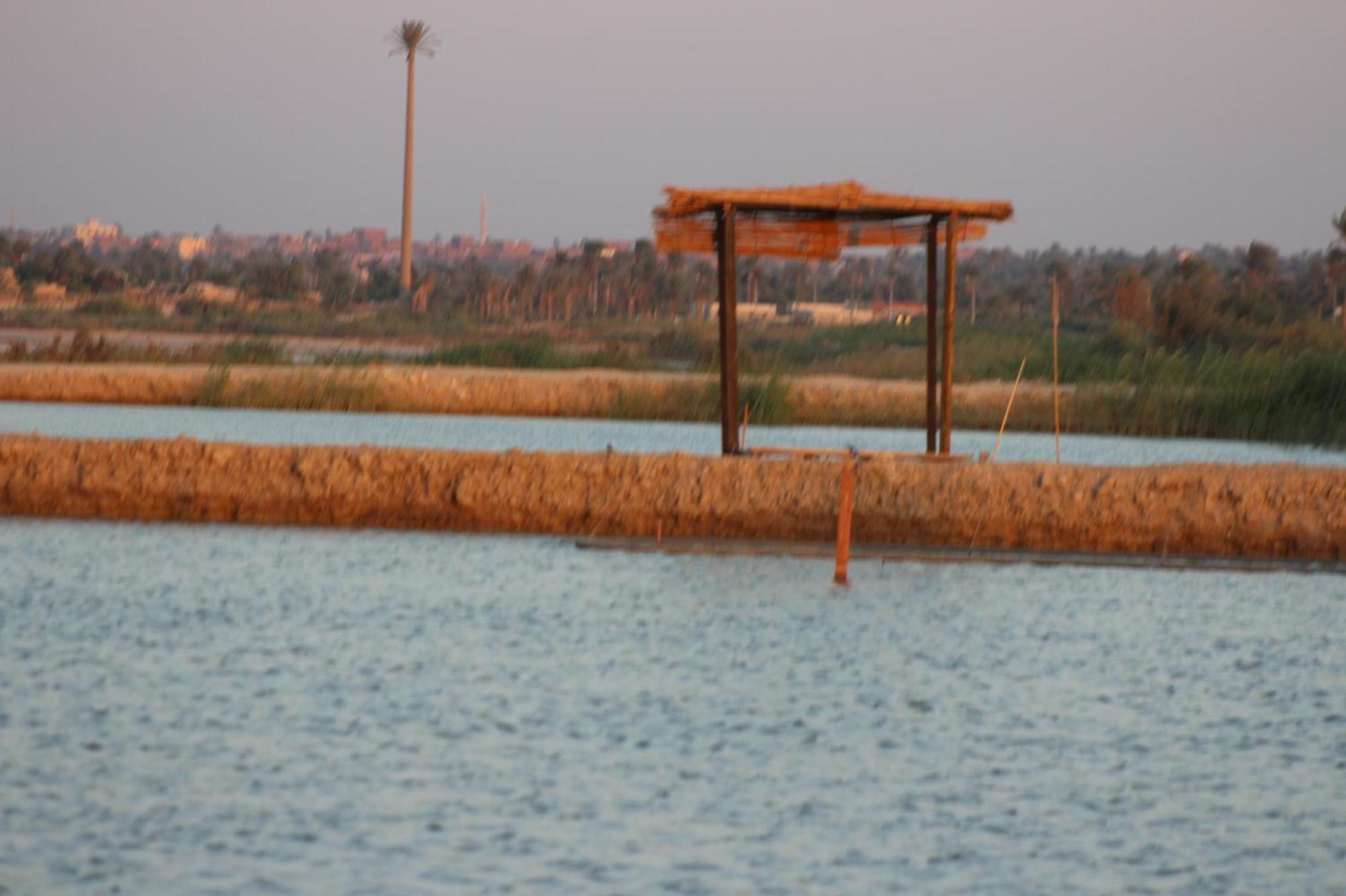 Kom El Dikka Agri Lodge ‘Izbat an Nāmūs Exteriör bild